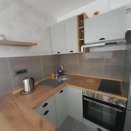 Nemanjina Centar 公寓 Pančevo